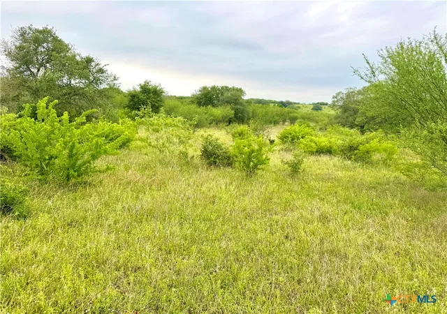 Homes for sale in Smiley, TX | Tbd Tract Q Fm 108, Smiley, TX 78159 | MLS# 598512