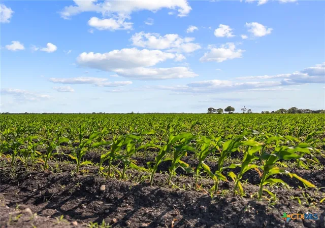 1st image of 5629 Us 59, Edna, TX 77957 | MLS# 598167