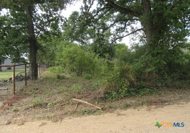 Photo 3 of Land for sale at 507 County Rd 405, Buckholts, TX 76518 | MLS# 598732 | Listing updated on 2026-04-22