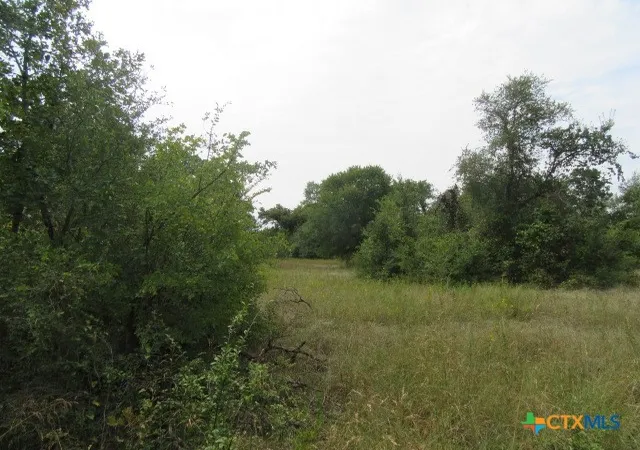 Photo 4 of Land for sale at 507 County Rd 405, Buckholts, TX 76518 | MLS# 598732 | Listing updated on 2026-04-22