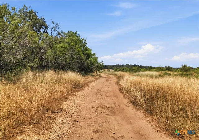 48th image of 15145 Alternate 90, Kingsbury, TX 78638 | MLS# 598820
