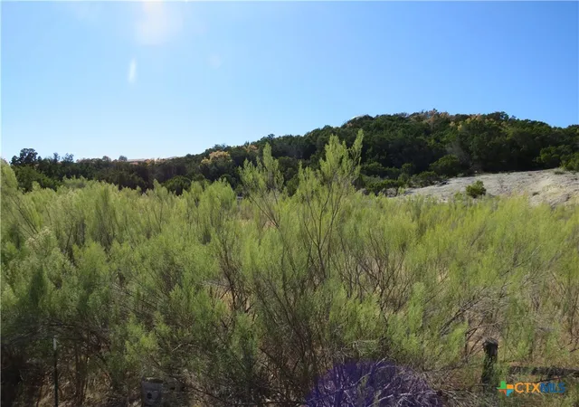 42nd image of Tbd Bradford Dr, Copperas Cove, TX 76522 | MLS# 599654