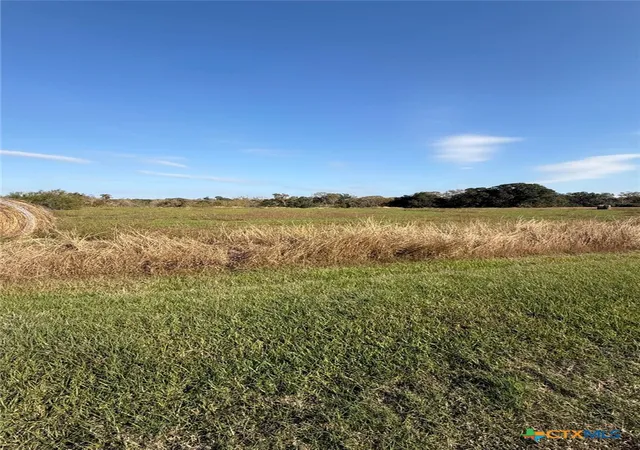 Homes for sale in Blessing, TX | 000 River Hollow Way, Blessing, TX 77419 | MLS# 599849