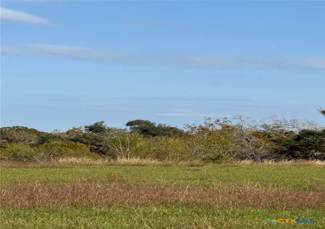 5th image of 000 River Hollow Way, Blessing, TX 77419 | MLS# 599849
