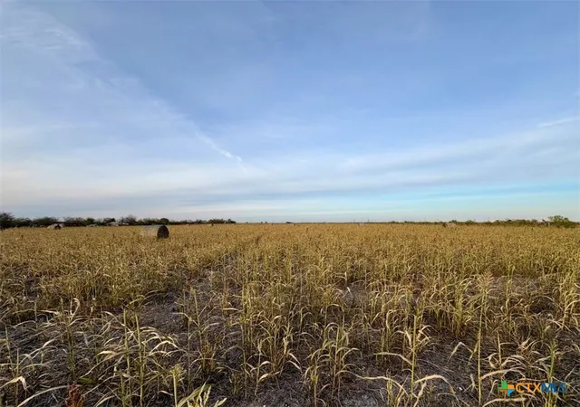 1st image of 366 County Road 123, Buckholts, TX 76518 | MLS# 600045