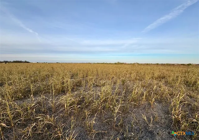 2nd image of 366 County Road 123, Buckholts, TX 76518 | MLS# 600045