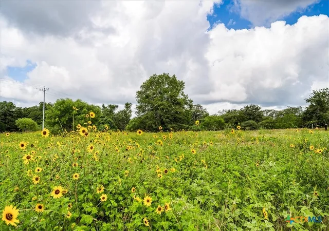 Homes for sale in Flatonia, TX | 2845 Boehnke Rd, Flatonia, TX 78949 | MLS# 600145
