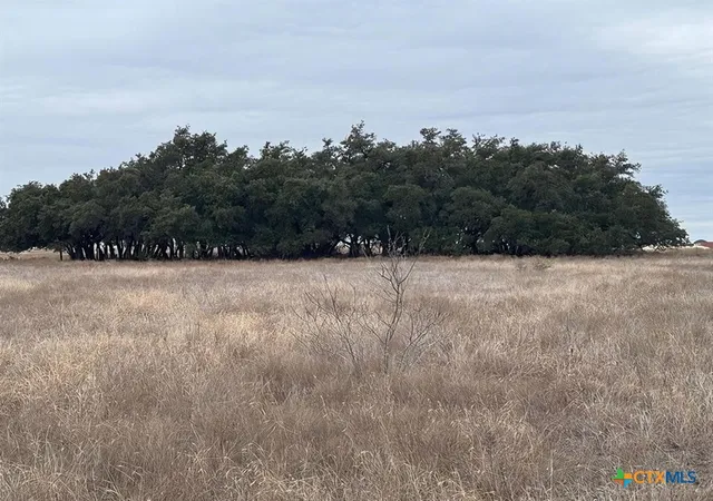 Homes for sale in Florence, TX | Tbd1 County Road 221, Florence, TX 76527 | MLS# 600486