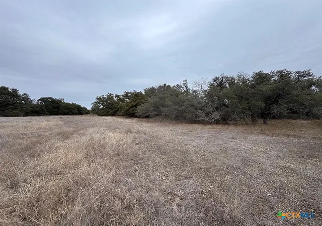Homes for sale in Florence, TX | Tbd1 County Road 221, Florence, TX 76527 | MLS# 600486