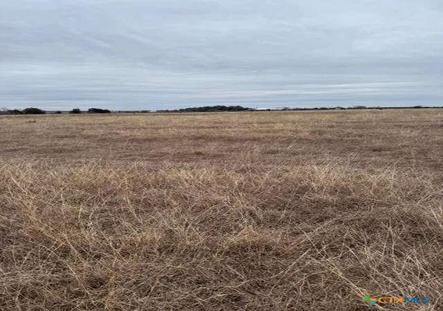 Homes for sale in Florence, TX | Tbd1 County Road 221, Florence, TX 76527 | MLS# 600486