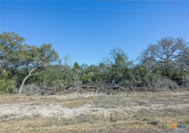 Homes for sale in Inez, TX | 000 Garcitas Creek Ranch Road Blk 4 Lot 10, Inez, TX 77968 | MLS# 599840