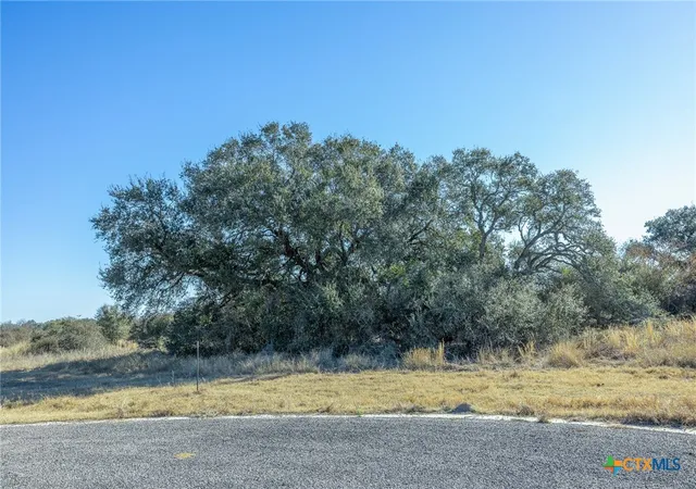Homes for sale in Inez, TX | 000 Briarhill Road Blk 3 Lot 4, Inez, TX 77968 | MLS# 599837