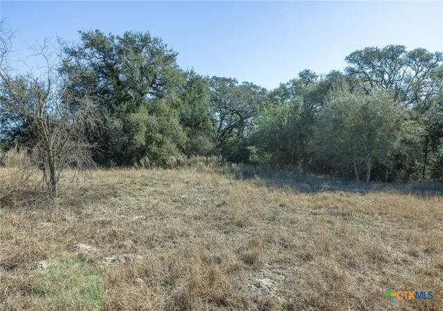 Homes for sale in Inez, TX | 000 Lakeside Trail Blk 2 Lot 19, Inez, TX 77968 | MLS# 599826