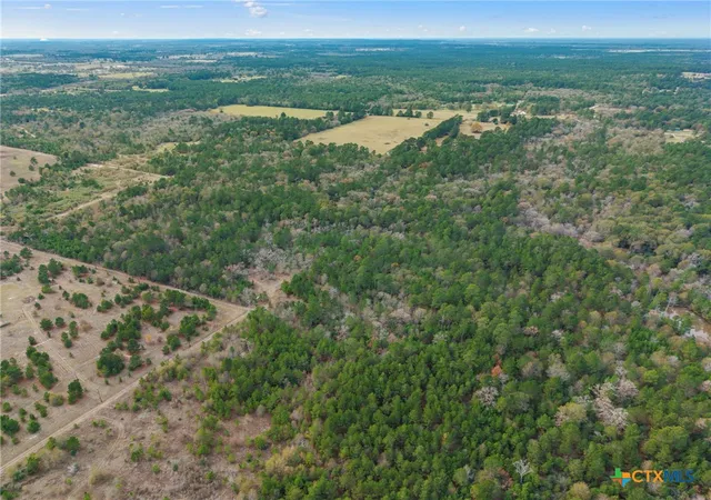 3rd image of 000 Dickey Loop, Bedias, TX 77831 | MLS# 600672