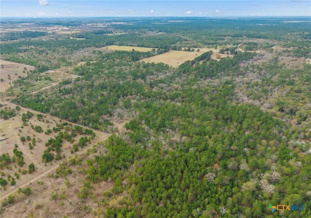 4th image of 000 Dickey Loop, Bedias, TX 77831 | MLS# 600672
