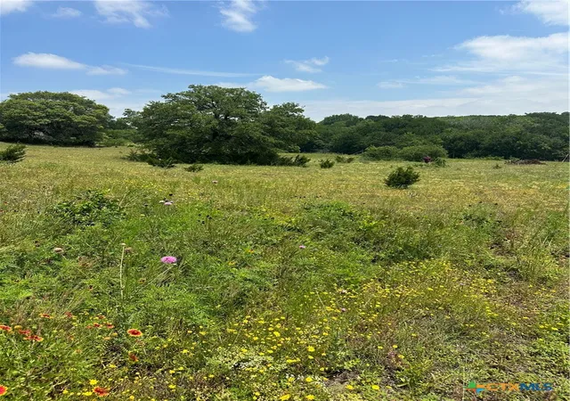 Homes for sale in Oglesby, TX | 134 Yellowstone Dr, Oglesby, TX 76561 | MLS# 600828