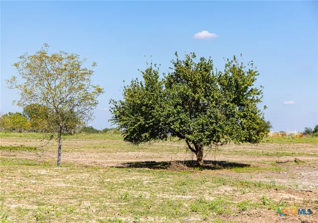 Homes for sale in Hallettsville, TX | 234 Cr 430 #Tract 6, Hallettsville, TX 77964 | MLS# 601043