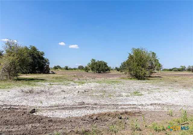Photo 3 of Land for sale at 234 Cr 430, Hallettsville, TX 77964 | MLS# 601043 | Listing updated on 2026-06-22