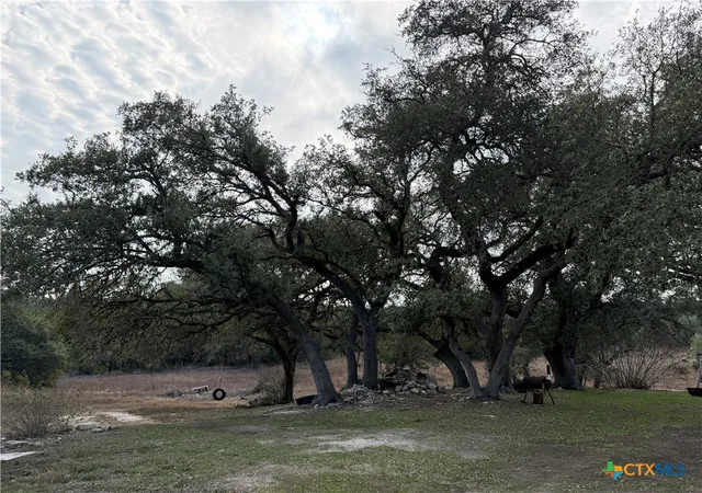 4th image of 1775 Oak Mdws, Canyon Lake, TX 78133 | MLS# 600970
