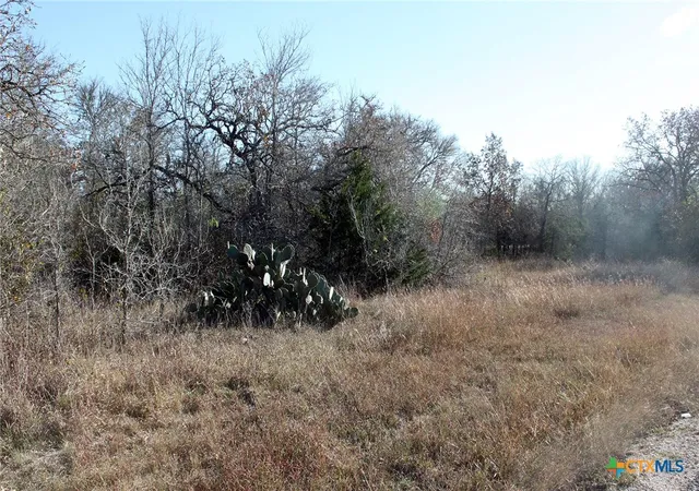 3rd image of 100 Track Rd, Dale, TX 78616 | MLS# 601208