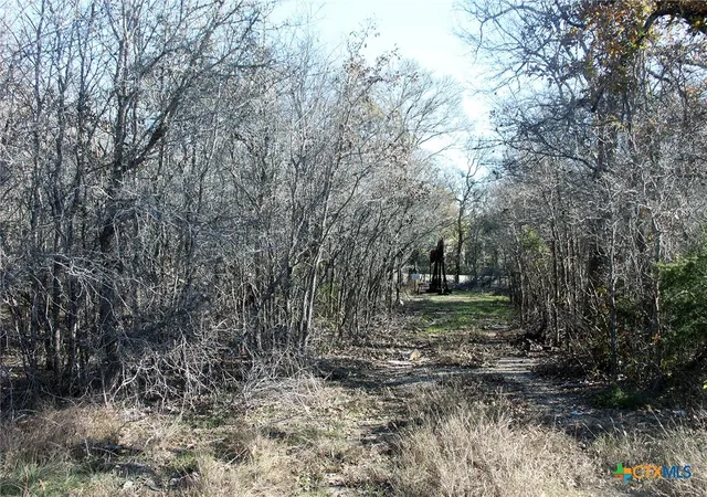 4th image of 100 Track Rd, Dale, TX 78616 | MLS# 601208