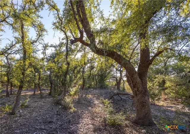 Photo 1 of Land for sale at 130 Panorama Dr, Wimberley, TX 78676 | MLS# 601173 | Listing updated on 2026-01-09