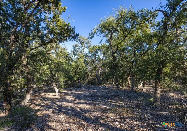 Photo 2 of Land for sale at 130 Panorama Dr, Wimberley, TX 78676 | MLS# 601173 | Listing updated on 2026-01-09
