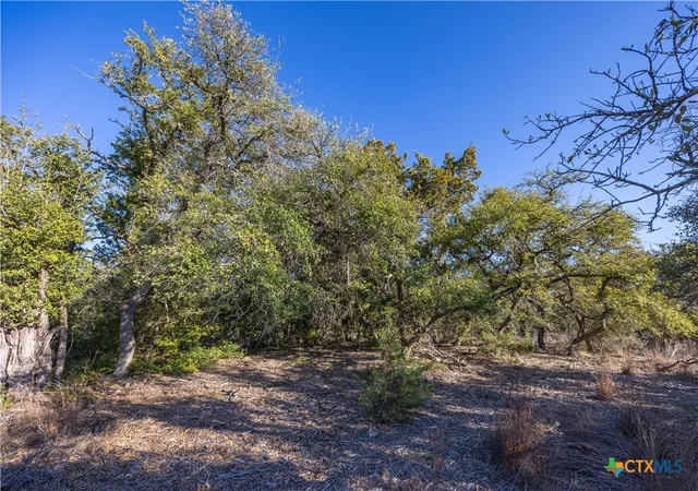 Photo 3 of Land for sale at 130 Panorama Dr, Wimberley, TX 78676 | MLS# 601173 | Listing updated on 2026-01-09