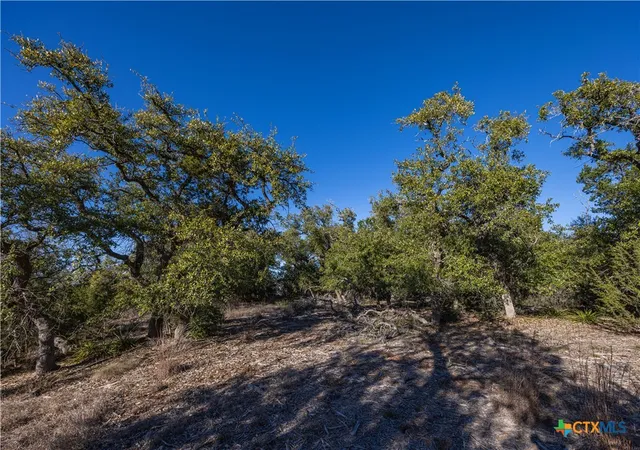 Photo 3 of Land for sale at 130 Panorama Dr, Wimberley, TX 78676 | MLS# 601173 | Listing updated on 2026-01-09