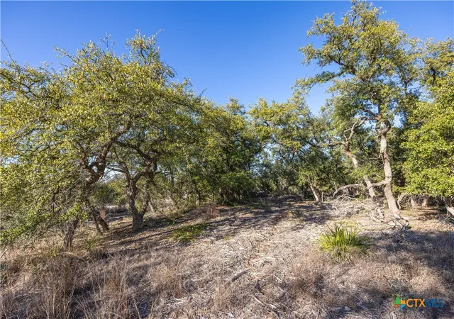 Photo 4 of Land for sale at 130 Panorama Dr, Wimberley, TX 78676 | MLS# 601173 | Listing updated on 2026-01-09