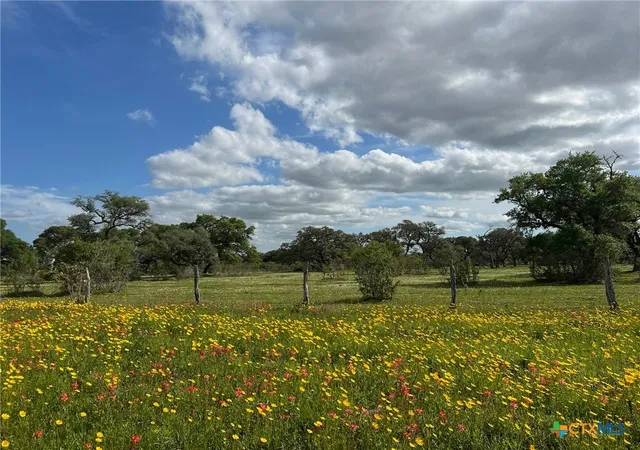2nd image of 15395 E State Hwy 111, Yoakum, TX 77995 | MLS# 601568