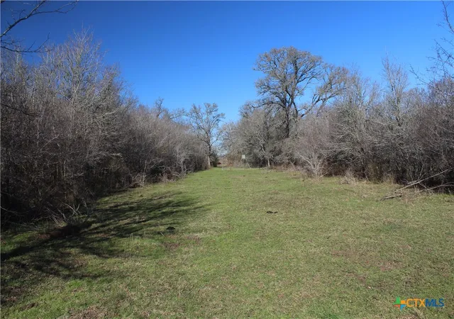 Photo 2 of Land for sale at 1223 County Rd 429, Dime Box, TX 77853 | MLS# 601794 | Listing updated on 2026-07-28