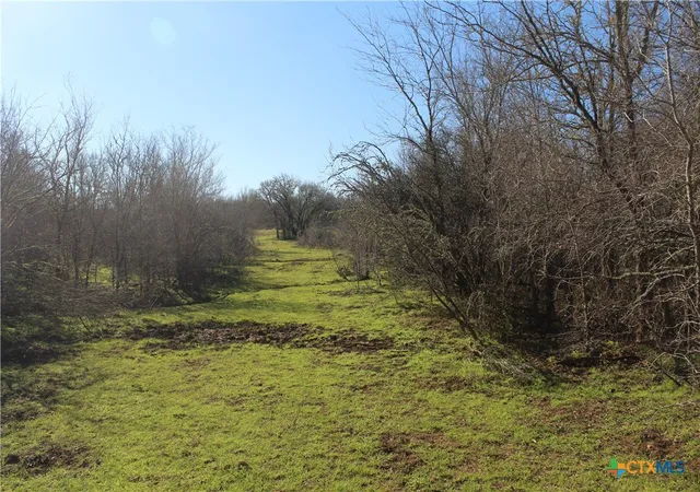 Photo 3 of Land for sale at 1223 County Rd 429, Dime Box, TX 77853 | MLS# 601794 | Listing updated on 2026-07-28