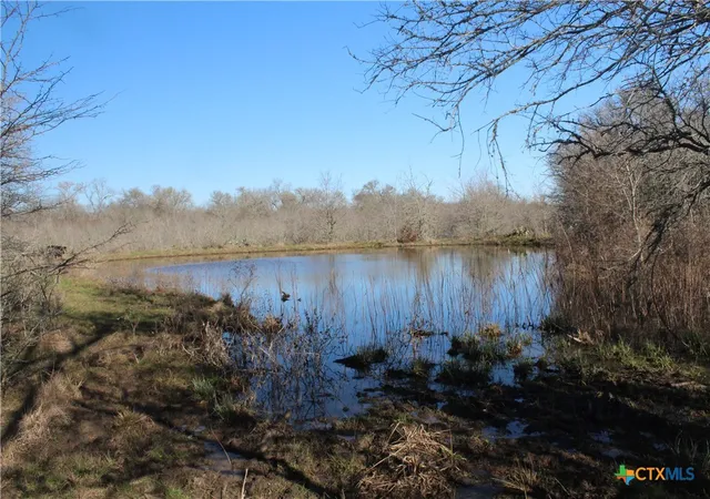 Photo 4 of Land for sale at 1223 County Rd 429, Dime Box, TX 77853 | MLS# 601794 | Listing updated on 2026-07-28
