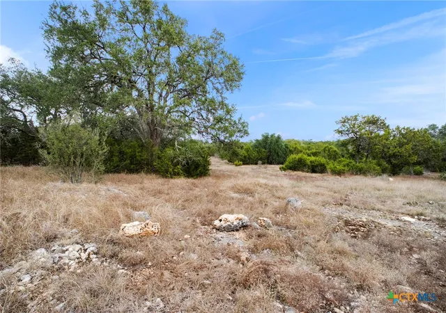 Photo 2 of Land for sale at 137 Red Tail Cvs, Spring Branch, TX 78070 | MLS# 602124 | Listing updated on 2026-07-15