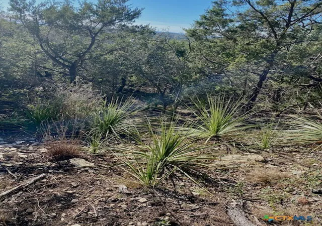 Photo 3 of Land for sale at 1178 Primrose Path, Canyon Lake, TX 78133 | MLS# 602121 | Listing updated on 2026-07-01