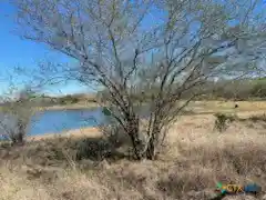 Land for sale at Tbd US Hwy 181 S, Kenedy, TX 78119 | MLS# 602384