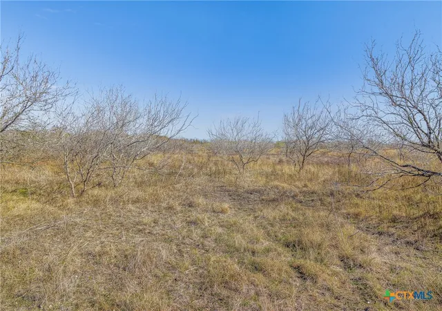 46th image of 5225 Fm 2001, Buda, TX 78610 | MLS# 601210