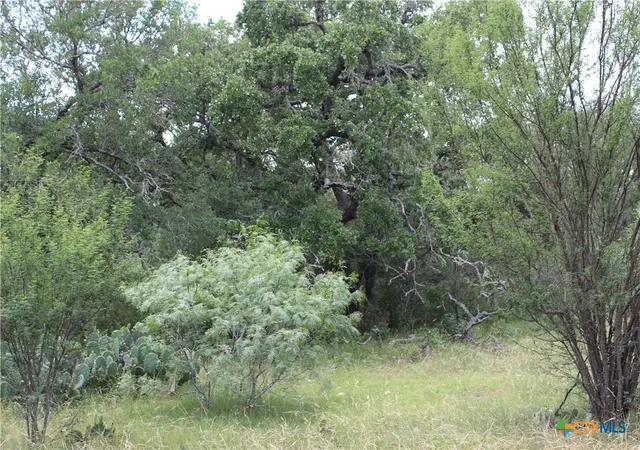 1st image of 0 Fm 3353, Kingsbury, TX 78638 | MLS# 602654