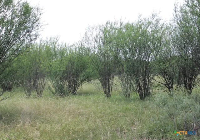 3rd image of 0 Fm 3353, Kingsbury, TX 78638 | MLS# 602654