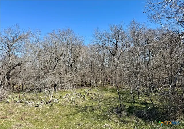 3rd image of Tbd County Rd 418A, Bartlett, TX 76511 | MLS# 602863