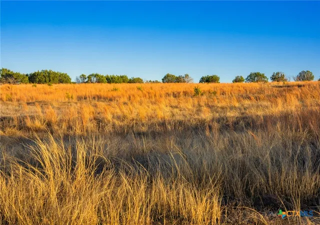 Homes for sale in Lometa, TX | Tbd E Fm 581, Lometa, TX 76853 | MLS# 602938