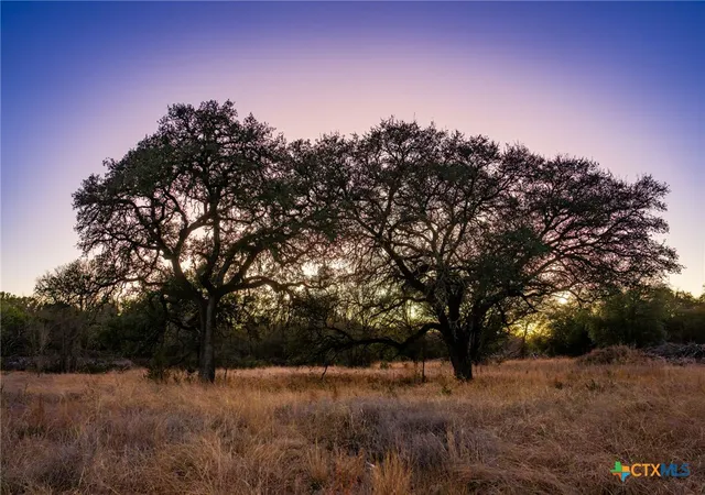 Homes for sale in Lometa, TX | Tbd E Fm 581, Lometa, TX 76853 | MLS# 602938