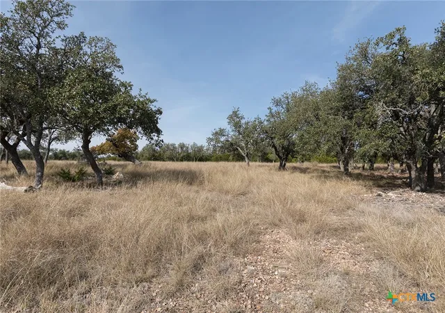 Photo 3 of Land for sale at 857 Brooklyn Nw Dr, Harper, TX 78631 | MLS# 603439 | Listing updated on 2026-06-01
