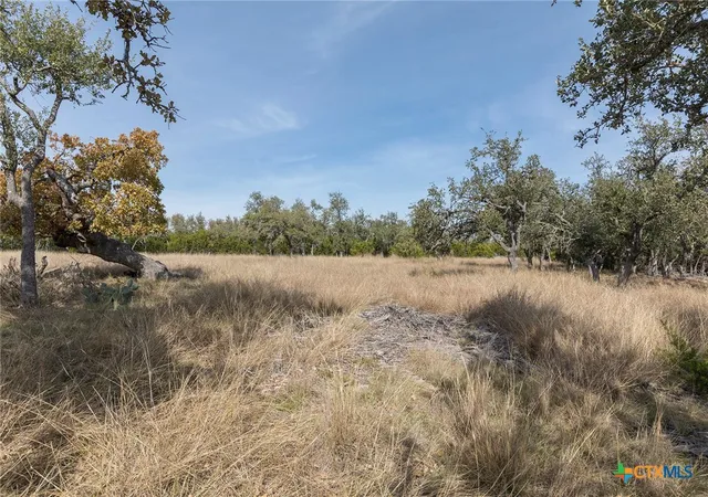 Photo 3 of Land for sale at 857 Brooklyn NW Dr, Harper, TX 78631 | MLS# 603439 | Listing updated on 2026-06-01