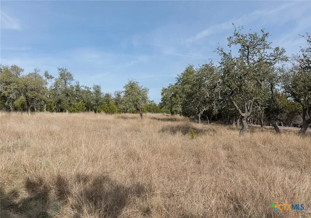 Photo 4 of Land for sale at 857 Brooklyn NW Dr, Harper, TX 78631 | MLS# 603439 | Listing updated on 2026-06-01