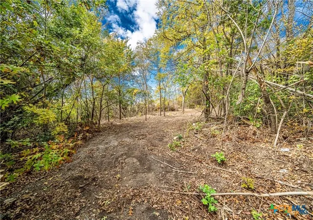 Photo 3 of Land for sale at 101 Crk Cliff Dr, Gatesville, TX 76528 | MLS# 603441 | Listing updated on 2026-06-15