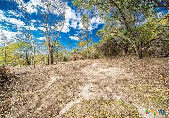 Photo 4 of Land for sale at 101 Crk Cliff Dr, Gatesville, TX 76528 | MLS# 603441 | Listing updated on 2026-06-15