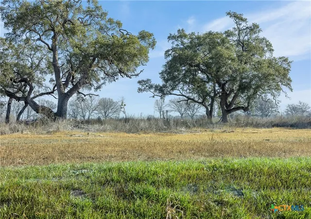 5th image of 528 Nw River Rd, Martindale, TX 78655 | MLS# 603831