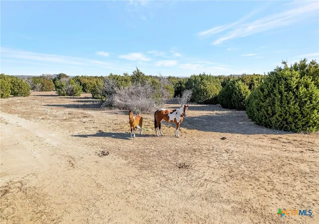Homes for sale in Florence, TX | 19150 Stillman Valley Rd, Florence, TX 76527 | MLS# 604013